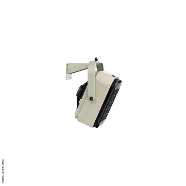 Aérotherme mural EC 9 N S&P - Chauffage orientable 2 puissances professionnel