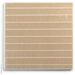 HEPA-Filter TTR 57 E TROTEC - Ersatzfilter für Luftentfeuchter