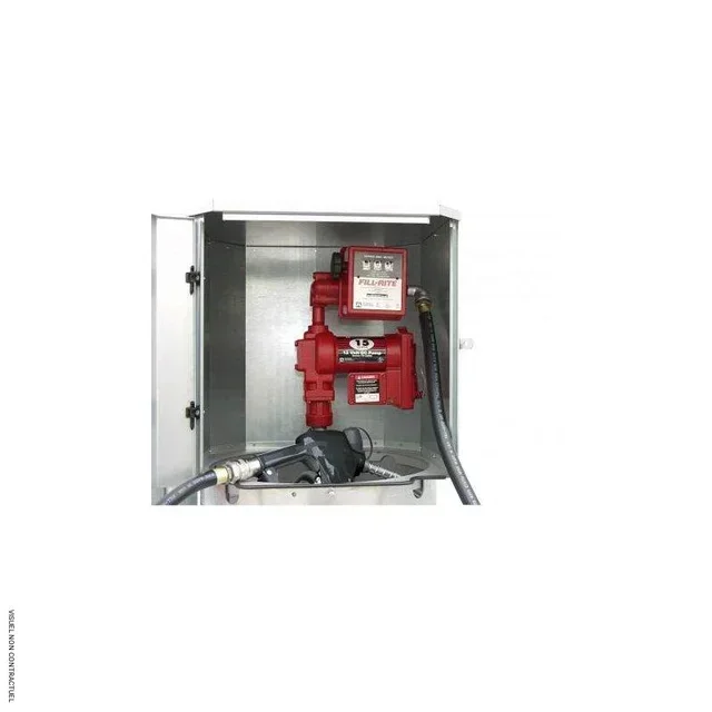 Pompe carburant 12V 50L/min ATEX avec pistolet compteur et flexible 4m CEMO
